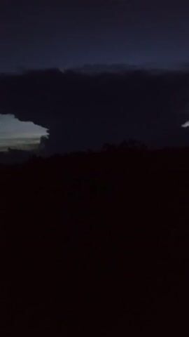 The video shows a dark and blurry scene with a silhouette of trees or shrubbery at the bottom, and dark clouds obscuring the sky above. It appears to be a night or dusk scene with very low light. There is minimal detail visible, and the scene is mostly a combination of shadows and faint outlines.