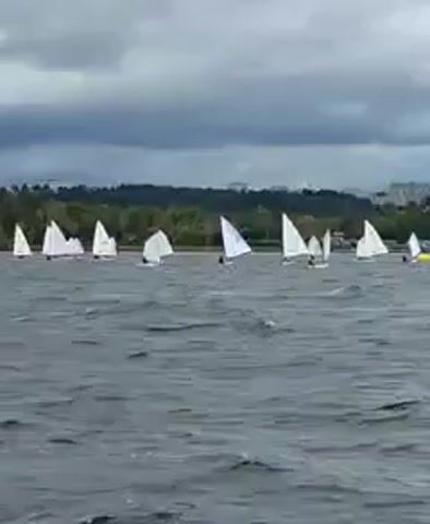 A fleet of small sailboats is seen on a body of water. The boats are white with triangular sails and appear to be part of a race or regatta. The water is choppy, indicating some wind. In the background, there is a tree-lined shore with buildings visible in the distance. The sky is overcast with dark clouds, suggesting possibly stormy weather. The video is a screen recording of a video, indicated by the timestamp in the upper left corner.