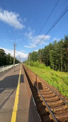 The video begins with a view of railroad tracks leading into the distance, with a platform on the left. A forest of tall pine trees lines the right side of the tracks. The sky is blue with scattered clouds. The camera moves forward, capturing the continuous stretch of the tracks and the forest. The greenery is lush and vibrant, suggesting a sunny day. The scene is peaceful and natural, with no people or animals visible. The overall impression is one of a tranquil journey through a forested landscape.