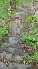 Abandoned ruins explored in forested Abkhazia location