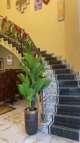Here's a concise description of the scene:

The video displays the interior of a luxurious home. A staircase with black and white tile steps and an ornate, gold-accented wrought iron railing adorned with red and green Christmas decor takes center stage. A faux palm tree sits at the base of the staircase. The walls are painted a pale yellow, and decorative artwork hangs on them. On the landing above is a second floor with a landing area secured by more of the same railing. Below, behind a velvet rope, is a seating area with ornately patterned chairs. Above, a large crystal chandelier hangs from the high ceiling. The overall environment suggests a wealthy, well-decorated home.