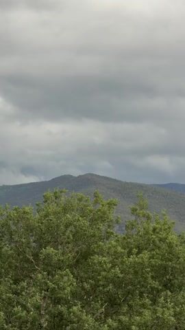 The video shows a mountainous landscape under a cloudy sky. The foreground features green trees, while in the middle ground, a series of rolling hills covered in vegetation extend into the distance. The sky is overcast with grey clouds, creating a somewhat gloomy atmosphere.  The camera slowly pans upwards.