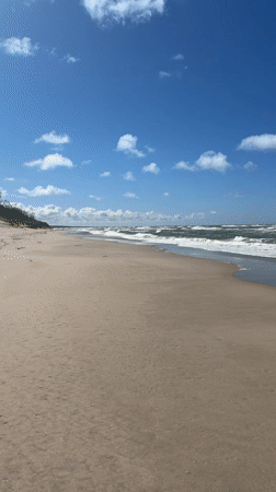 Empty beach scene documented in Lesnoy, Russia