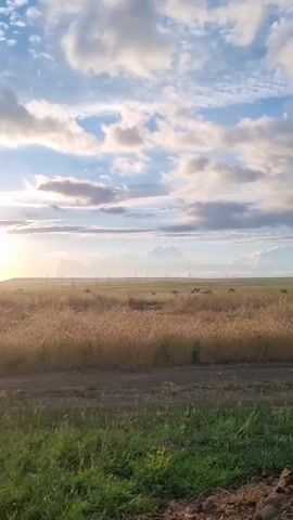 The video captures a landscape scene with a vast field of dry grass and green grass in the foreground. The sky is filled with scattered clouds, with the sun shining brightly on the left side of the frame, casting a warm glow on the surroundings. The horizon is marked by distant hills and a few power lines. The camera pans slowly across the scene, offering a wide view of the natural environment.