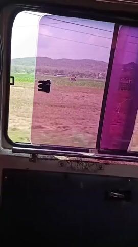The video is filmed from inside a vehicle, looking out the window. The window has a purple tint on the right side and a clear tint on the left. Outside, a landscape of fields and trees can be seen, along with a few buildings and power lines in the distance. The vehicle appears to be moving, as the landscape is blurred. The interior of the vehicle is visible in the foreground, showing the door and a metal bar along the bottom of the window. The overall impression is one of travel through a rural area.