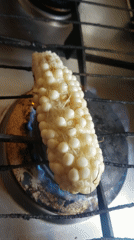 Corn roasting and rug washing on a Sabon Tasha afternoon