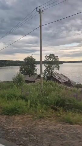 The video displays a serene, rural landscape by a body of water, likely a lake, under a dramatic, cloudy sky. The time of day appears to be either dawn or dusk, given the soft, diffused light and the mood of the sky. The scene is tranquil and somewhat melancholic, with a sense of peaceful isolation.

In the foreground, a dirt road runs along the edge of lush green grass, dotted with small white wildflowers. Beyond the vegetation, there are a few rustic wooden structures, possibly sheds or small houses, with weathered roofs. A couple of trees stand tall, their foliage dark against the brighter sky. The lake stretches out into the distance, its surface calm and reflecting the overcast sky. A small, tree-covered island is visible in the middle of the lake. Power lines crisscross the sky, supported by wooden poles, suggesting a remote settlement.

A road sign with a yellow diamond shape is visible at around 00:02, indicating a hazard or warning. There are no people visible in the footage, contributing to the feeling of solitude. The overall atmosphere is one of quiet contemplation and natural beauty, with the cloudy sky adding a touch of dramatic grandeur to the peaceful setting of Maeszero, Russia.