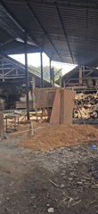 Wood sculptures spotted at Ubud artisan workshop