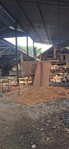 Wood sculptures spotted at Ubud artisan workshop