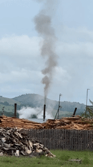 Industrial lumber yard operations captured alongside rural horse cart