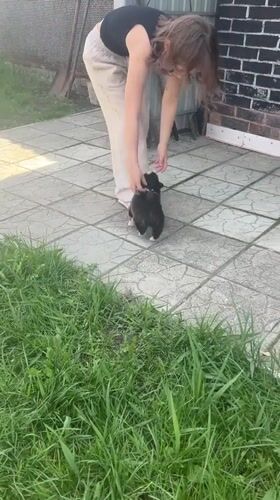 Woman plays with black and white puppy in Russian backyard