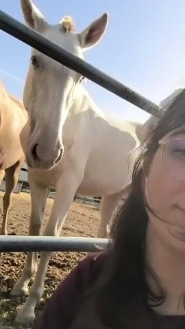 The video shows a woman filming herself with several horses in an outdoor enclosure on a sunny day. The woman, partially visible on the right with dark hair and glasses, is holding a camera. A prominent white horse with a light-colored mane and tail stands close to a metal fence, looking towards the camera. It appears to be wearing a halter or bridle. Behind the white horse, another light brown horse is visible. A smaller, lighter brown foal is seen moving around in the enclosure. The ground is dry and dusty, and farm buildings are visible in the background under a clear blue sky. The woman speaks in Spanish, asking "Cómo ya se ha hecho el ruidoso?" (How did it get so noisy already?).