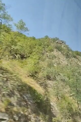 This video shows a view from inside a moving vehicle, likely a car or bus. The camera is pointed out the side window, capturing a rocky mountainside covered in sparse vegetation. The greenery consists of trees and bushes, with some appearing more vibrant than others. The sky is a clear blue. The movement of the vehicle creates a motion blur effect, especially noticeable in the foliage. The terrain appears rugged and mountainous, with visible rock formations and debris on the slopes. The time stamps indicate the video is approximately 4 seconds long, showing a continuous sweep of the landscape. There are no people or identifiable objects within the frame, other than the natural environment and the interior of the vehicle suggested by the perspective.