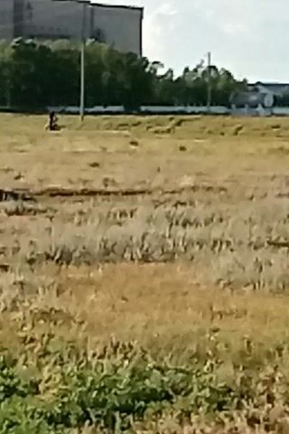 A person is riding a motorcycle across a dry, grassy field. A large, industrial building is visible in the background, along with trees and power lines. The sky is overcast.