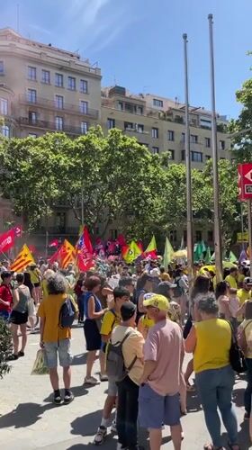 Yellow-shirt demonstration marches through Barcelona with Catalan flags
