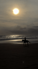 Sunset beach scenes documented across Indonesian coastal towns
