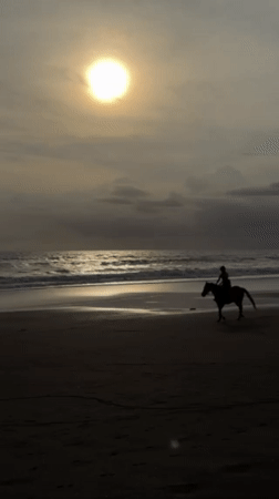 Sunset beach scenes documented across Indonesian coastal towns