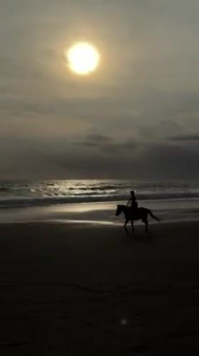 Sunset beach scenes documented across Indonesian coastal towns