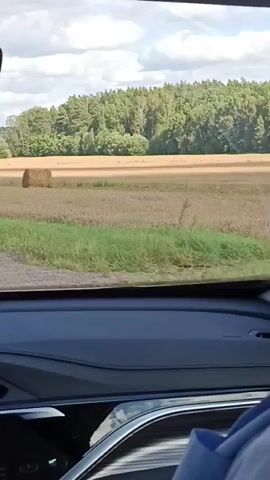This is a first-person perspective video, likely filmed from the interior of a moving vehicle. The foreground shows the dashboard and a portion of the car's interior, including what appears to be a blue fabric item on the passenger seat. The camera is focused on the scenery outside the vehicle's window.

The scene depicts a rural landscape under a partly cloudy sky, suggesting daytime. The main subjects are agricultural fields, with one prominent round bale of hay visible in the middle of a harvested field. Beyond this field, there is a line of trees forming a dense forest. The fields appear to be dry, indicating that harvest season is either ongoing or has recently concluded. The presence of hay bales is a strong cue for this time of year.

The location context provided is Кухчыцкі сельскі Савет, Belarus. This suggests the video was filmed in that region of Belarus. There are no discernible emotions conveyed by the visual content itself, as it is a straightforward depiction of the passing scenery.

There are no human subjects visible within the frame. The only identifiable objects are the car interior and the hay bale in the field. The activity taking place is travel, as evidenced by the perspective and the passing scenery. The weather appears to be fair, with clouds indicating potential for variation but no overt signs of severe weather. The overall impression is one of a serene, rural drive through the Belarusian countryside during harvest time. Some text is visible on the car's window, appearing as a reflection or sticker, but it is not legible.