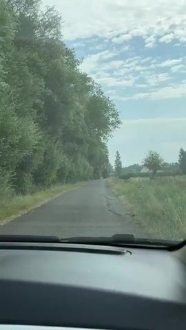 This video shows a drive down a rural road. The road is paved and appears to be in moderate condition. On the left side of the road, there are tall trees and bushes. On the right side of the road, there is a field of tall grass with some trees and a house in the distance. The sky is blue with some clouds. The video is shot from inside a vehicle, looking forward and then out the passenger window. The side mirror of the car is visible. The audio consists of faint wind noise and car engine sounds.