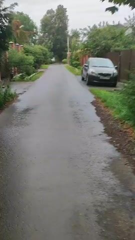 A paved road stretches into the distance, lined with fences and lush green trees and bushes. The asphalt is wet and reflects the overcast sky. A silver sedan is parked on the right side of the road. The video is shot from a low-angle perspective, possibly from a moving vehicle or a person walking.