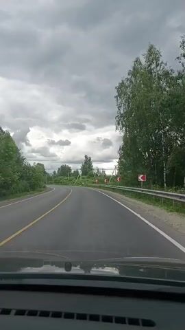 The video is shot from the perspective of someone in a car driving down a paved road. The sky is cloudy and overcast. On the right side of the road, there is a metal guardrail with several red and white curve warning signs. Trees and greenery line the road. The car passes a small rural property with a gate and a house in the distance. The road appears to be a rural two-lane highway with a yellow line dividing the lanes. The video is short, lasting only a few seconds.