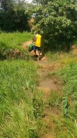 A person wearing a yellow vest and blue pants is walking through a muddy, overgrown path. The path is surrounded by tall green grass and trees. The person is carrying a green bucket. The water in the path is murky and appears to be flowing. The person is moving away from the camera.