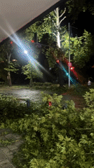 Storm leaves fallen trees and debris across Plovdiv streets at night
