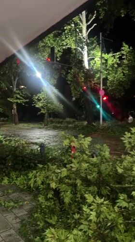Storm leaves fallen trees and debris across Plovdiv streets at night