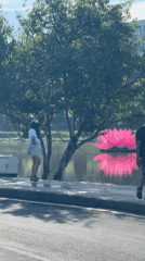 Late-night leisure activities observed around Da Lat lake with lotus displays