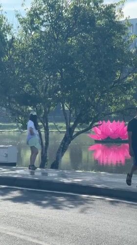 Late-night leisure activities observed around Da Lat lake with lotus displays