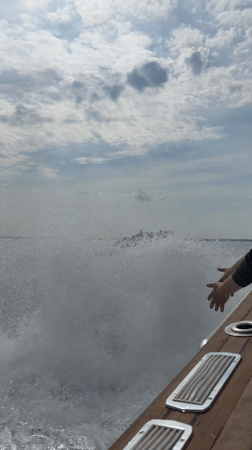Boat speeds across water near Sirmione, Italy