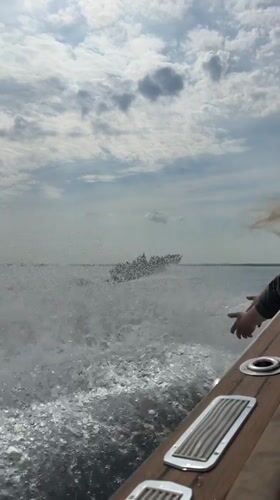 Boat speeds across water near Sirmione, Italy