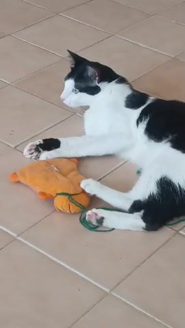 A black and white cat is lying on a tiled floor next to an orange toy. The cat is looking at the toy and appears to be playing with it. The cat bats at the toy with its paws. The toy is a small, stuffed animal that is orange in color. It has a green string attached to it. The floor is made of beige tiles. The lighting is bright and appears to be natural.