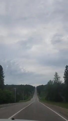 A POV shot from a vehicle driving on a paved road through a forest. The road stretches ahead and appears to ascend into the distance. The sky is overcast with clouds. Streetlights are visible along the left side of the road. Trees line both sides of the road. A sign with blue text is visible on the right side of the road. The driver's side of the dashboard is partially visible at the bottom of the frame.