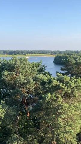This media file features a high-angle view of a scenic landscape in Losser, Netherlands. The scene is dominated by a calm, blue body of water, likely a lake or river, surrounded by lush green trees and vegetation. In the distance, there are hints of human activity with structures and what appears to be a sandy embankment or hill. The sky above is clear and bright, suggesting a sunny day, likely late morning or early afternoon given the quality of light.

The foreground of the images, particularly in the later frames, reveals a metal grate walkway and railing, indicating the viewpoint is from an elevated structure, perhaps a viewing platform or a bridge. The metal surfaces of this structure are adorned with graffiti, predominantly in white, black, and red spray paint. One section clearly shows the red letters "SSY" and other abstract red markings. The presence of graffiti suggests a public or accessible area, possibly with a history of vandalism or street art.

No people are directly visible in the media, but the presence of the viewing platform implies human presence and interaction with the location. The overall mood conveyed is one of natural beauty contrasted with urban elements introduced by graffiti. The time of day is characterized by bright, even lighting, and the weather appears to be clear and pleasant. The location is identified as Losser, Netherlands, which, combined with the water and greenery, paints a picture of a typical Dutch landscape.