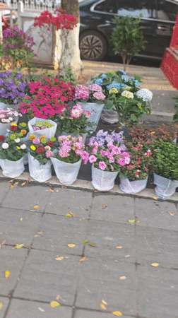 Morning street life captured in Chongqing High-tech Zone