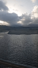 Flamingoes spotted in Juan Griego marshlands under cloudy skies