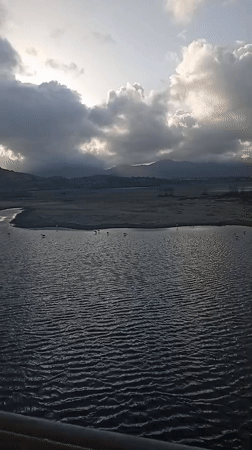 Flamingoes spotted in Juan Griego marshlands under cloudy skies
