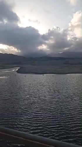 Flamingoes spotted in Juan Griego marshlands under cloudy skies