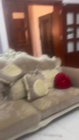 The video shows a blurred view of a living room. There are two armchairs with a gold and beige design, a white TV stand with a flat screen TV mounted above it, and a houseplant next to the TV stand. The walls are white with a gold-framed painting. The floors are white tiles. There are beige curtains on a window. The video also includes sound of people speaking.