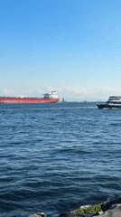 Ships transit Bosphorus Strait near Beşiktaş on sunny afternoon
