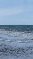Witnesses document waves on pebble beach during five-minute span