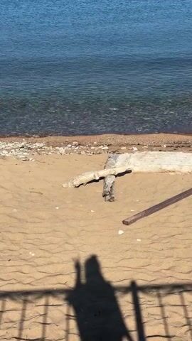 A vertical video shows a peaceful scene at a beach. The foreground is dominated by sand, with a few pieces of driftwood and debris scattered on it. A shadow of a person is visible in the bottom left corner, cast by what appears to be a railing or fence. Beyond the sand, a narrow strip of pebbles separates the beach from the clear blue water of a large body of water, possibly a lake or sea. The water is calm, with gentle ripples on the surface, and the seabed is visible through the clear water near the shore. The horizon is a crisp line where the water meets a bright blue sky, suggesting a sunny day. The overall impression is one of tranquility and natural beauty.
