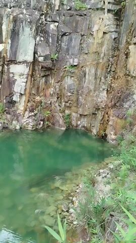 A quarry with turquoise water is shown. The quarry walls are made of layered rock, with some vegetation growing on them. The water is clear enough to see the rocky bottom in some areas. There are some reeds and grasses growing along the edge of the water. The video pans slowly across the quarry, giving a panoramic view of the scene.