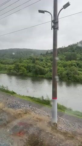 A video shows a scenic view of a river flowing through a lush green forest under a cloudy sky. The camera appears to be mounted on a moving vehicle, possibly a train, as evidenced by the telephone poles and wires that occasionally pass by in the foreground. The river is wide and calm, with ripples on its surface indicating a slight breeze or movement. The banks of the river are lined with rocks and vegetation. The forest beyond is dense with trees of various shades of green, suggesting a healthy and vibrant ecosystem. The cloudy sky creates a muted, diffused light, which adds to the serene and somewhat somber atmosphere of the scene. The overall impression is one of natural beauty and tranquility, with a hint of the journey or passage of time suggested by the movement of the camera.