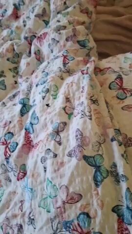 The media file is a short video capturing a close-up view of a bed with a comforter featuring a butterfly print. The comforter is white with numerous colorful butterflies scattered across it in shades of pink, blue, teal, and purple. The butterfly pattern is detailed and varied, with different sizes and wing designs.

As the video progresses, the comforter is gently lifted, revealing a tabby cat nestled underneath. The cat has gray and black stripes and is lying down, looking relaxed and comfortable. Its eyes are open and it appears to be looking towards the camera or slightly to the side. The cat is partially covered by the butterfly-patterned comforter, creating a cozy and playful scene. A neutral-colored blanket or sheet is visible in the background, to the right of the frame, suggesting the setting is a bedroom.

There is no visible text within the media file. The lighting suggests it could be daytime, possibly indoors, as there are no strong shadows or indications of external weather conditions. The overall mood conveyed is peaceful and domestic, highlighting the comfort of the cat within its surroundings. The focus is primarily on the texture of the comforter and the presence of the cat.