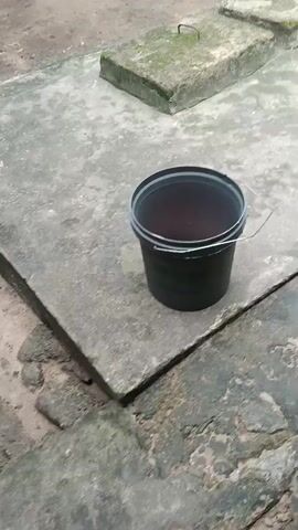 A person's hand dips a pink plastic ladle into a black bucket filled with water and then lifts it out. They then place the ladle into the bucket.