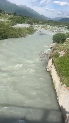 The video shows a wide, turbulent river flowing through a valley. The water is a milky, light green color, suggesting it may be carrying sediment. The riverbanks are lined with green vegetation and some rocky terrain. In the distance, there are mountains with snow-capped peaks under a partly cloudy sky. A concrete embankment runs along the right side of the river in the foreground, with some dead branches protruding from the water. The camera appears to be positioned on a bridge or elevated structure, looking down at the river. The overall scene is a natural landscape with some man-made elements along the riverbank.