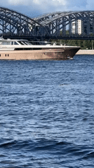 Yacht and wildlife on a Saint Petersburg river